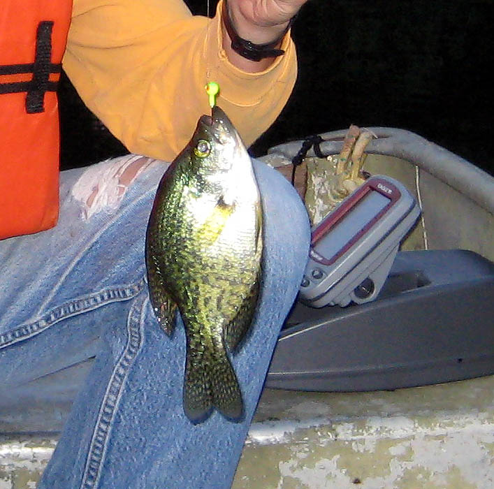 Eagle River, Wisconsin, 2008