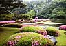 Imperial Gardens, Tokyo, May 27, 2001